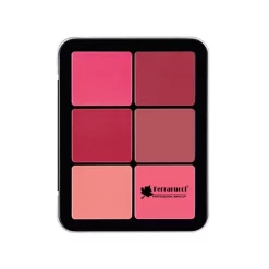 پالت رژگونه 12 رنگ فراروسی 12 Color Blusher Palette